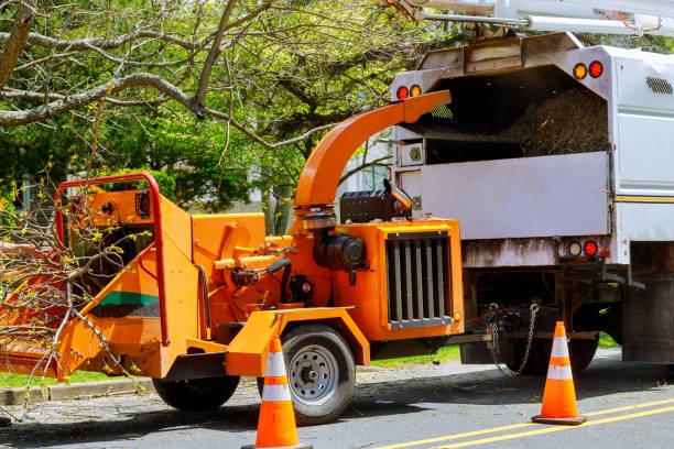 Best Aeration Services  in Belleville, KS