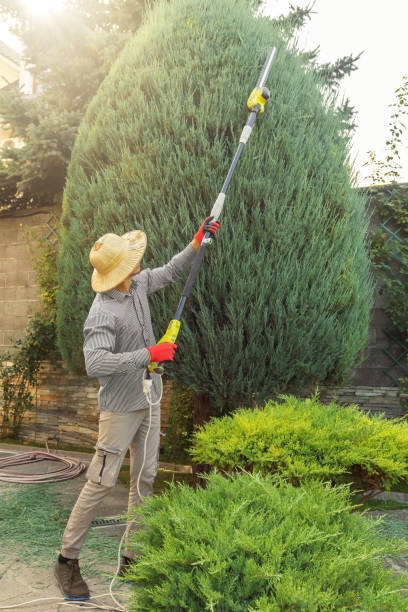 Best Lawn Watering Services  in Belleville, KS